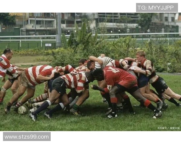 橄榄球运动的魅力与文化：从起源到全球发展与未来趋势解析