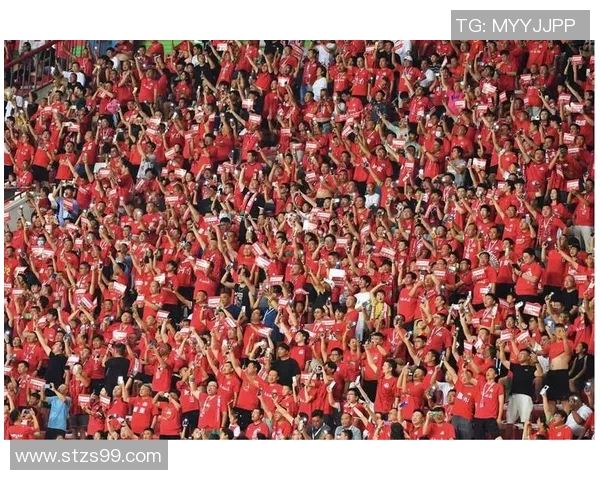 球迷文化的崛起与演变：从热情支持到社群互动的深度探讨